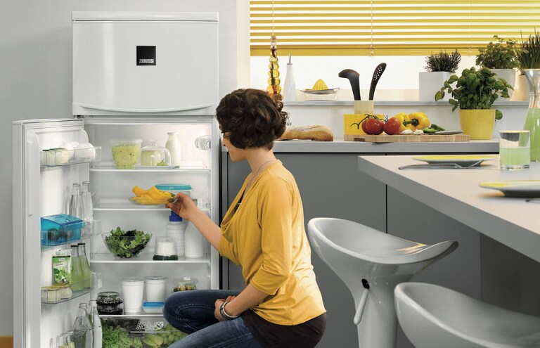DER ZANUSSI PRODUKTBERATER